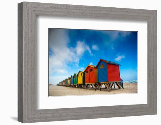 Colorful Beach Shacks, Muizenberg Beach, Cape Town, South Africa, Africa-Laura Grier-Framed Photographic Print