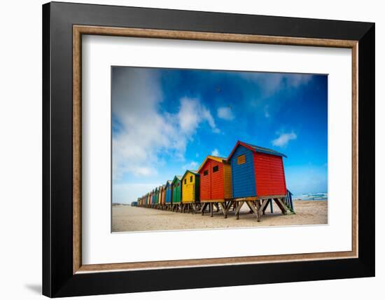 Colorful Beach Shacks, Muizenberg Beach, Cape Town, South Africa, Africa-Laura Grier-Framed Photographic Print