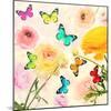 Colorful Beautiful Flowers and Butterflies Flying. Sweet Blurred Gentle Buttercups in the Backgroun-Protasov AN-Mounted Photographic Print