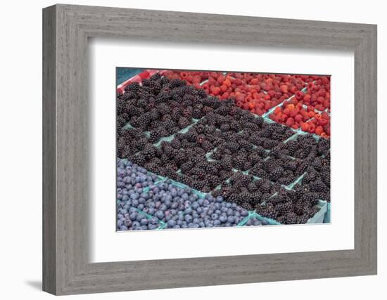 Colorful berries, USA-Jim Engelbrecht-Framed Photographic Print