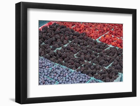 Colorful berries, USA-Jim Engelbrecht-Framed Photographic Print