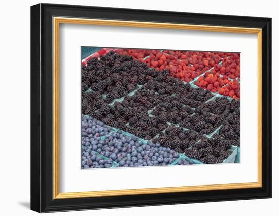 Colorful berries, USA-Jim Engelbrecht-Framed Photographic Print