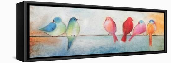 Colorful Birds On A Wire-Kimberly Allen-Framed Stretched Canvas
