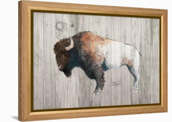 Colorful Bison Dark Brown on Wood-Avery Tillmon-Framed Stretched Canvas