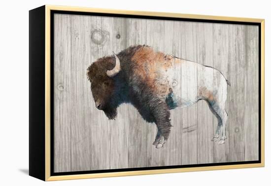 Colorful Bison Dark Brown on Wood-Avery Tillmon-Framed Stretched Canvas
