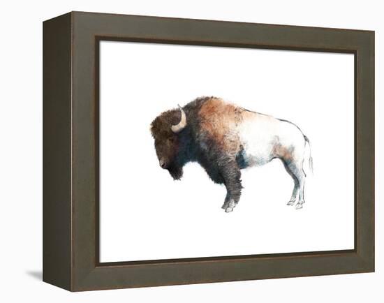 Colorful Bison Dark Brown-Avery Tillmon-Framed Stretched Canvas