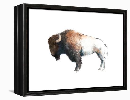 Colorful Bison Dark Brown-Avery Tillmon-Framed Stretched Canvas