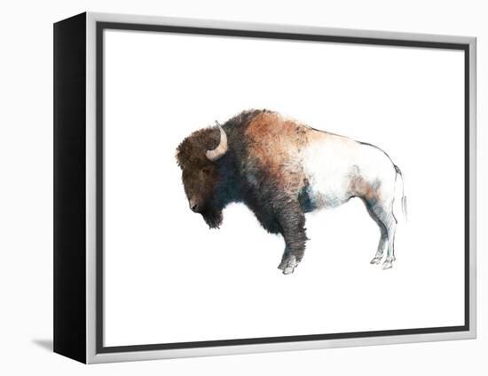 Colorful Bison Dark Brown-Avery Tillmon-Framed Stretched Canvas