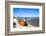 Colorful Boats on the Beach, Torreira, Aveiro, Beira, Portugal, Europe-G and M Therin-Weise-Framed Photographic Print