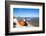 Colorful Boats on the Beach, Torreira, Aveiro, Beira, Portugal, Europe-G and M Therin-Weise-Framed Photographic Print