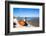 Colorful Boats on the Beach, Torreira, Aveiro, Beira, Portugal, Europe-G and M Therin-Weise-Framed Photographic Print