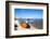 Colorful Boats on the Beach, Torreira, Aveiro, Beira, Portugal, Europe-G and M Therin-Weise-Framed Photographic Print