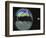 Colorful Bubble Gone-Alan Sailer-Framed Photographic Print