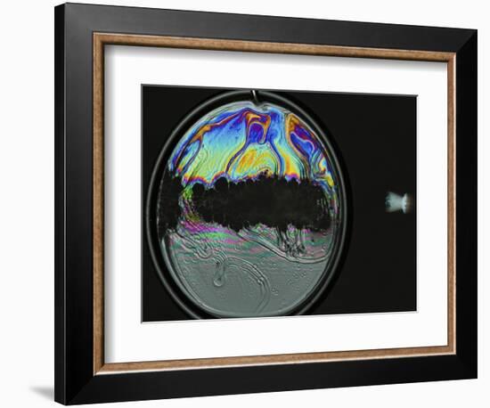 Colorful Bubble Gone-Alan Sailer-Framed Photographic Print