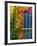 Colorful Building Detail, Barra De Navidad, Jalisco, Mexico-Walter Bibikow-Framed Photographic Print