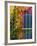 Colorful Building Detail, Barra De Navidad, Jalisco, Mexico-Walter Bibikow-Framed Photographic Print