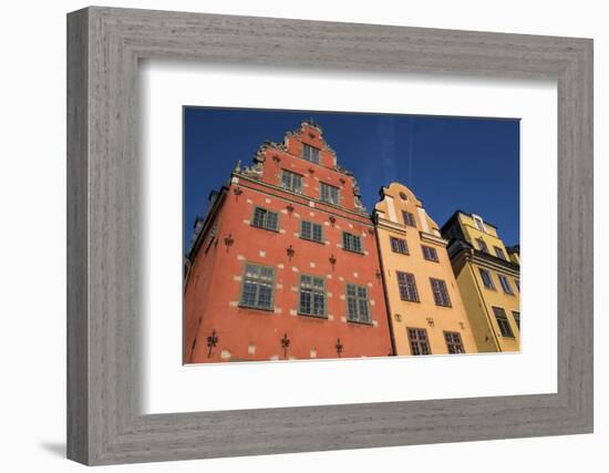 Colorful buildings in Stortorget, located in historic Gamla Stan, Stockholm, Sweden, Scandinavia, E-Jon Reaves-Framed Photographic Print