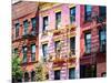 Colorful Buildings with Fire Escape, Williamsburg, Brooklyn, New York, United States-Philippe Hugonnard-Mounted Premium Photographic Print