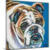 Colorful Bulldog-Carolee Vitaletti-Mounted Art Print