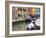 Colorful Burano City Homes Reflecting in the Canal, Italy-Terry Eggers-Framed Photographic Print