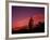 Colorful Cactus in the Sunset, Arizona, USA-Bill Bachmann-Framed Photographic Print