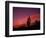 Colorful Cactus in the Sunset, Arizona, USA-Bill Bachmann-Framed Photographic Print