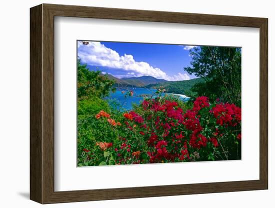 Colorful Caribbean View, St John, Virgin Islands-George Oze-Framed Photographic Print