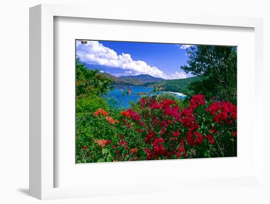 Colorful Caribbean View, St John, Virgin Islands-George Oze-Framed Photographic Print