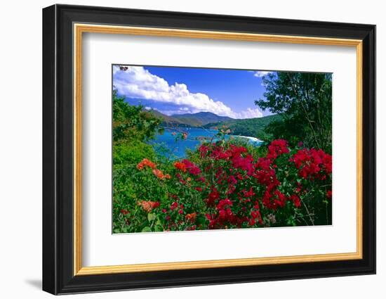 Colorful Caribbean View, St John, Virgin Islands-George Oze-Framed Photographic Print