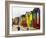 Colorful Changing Houses, False Bay Beach, St James, South Africa-Charles Crust-Framed Photographic Print