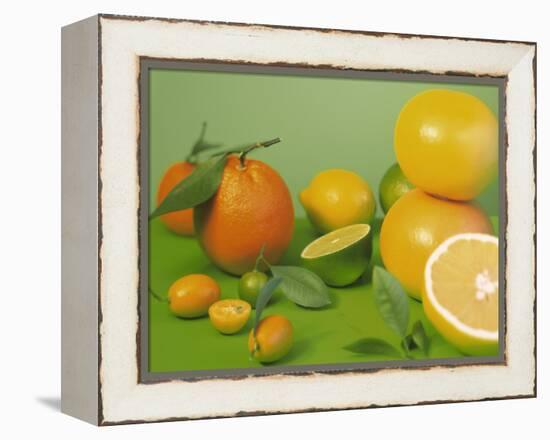 Colorful Citrus Fruit-Ulrike Koeb-Framed Premier Image Canvas