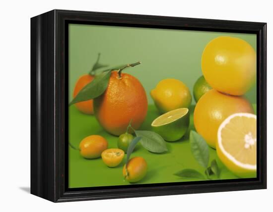 Colorful Citrus Fruit-Ulrike Koeb-Framed Premier Image Canvas