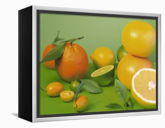 Colorful Citrus Fruit-Ulrike Koeb-Framed Premier Image Canvas