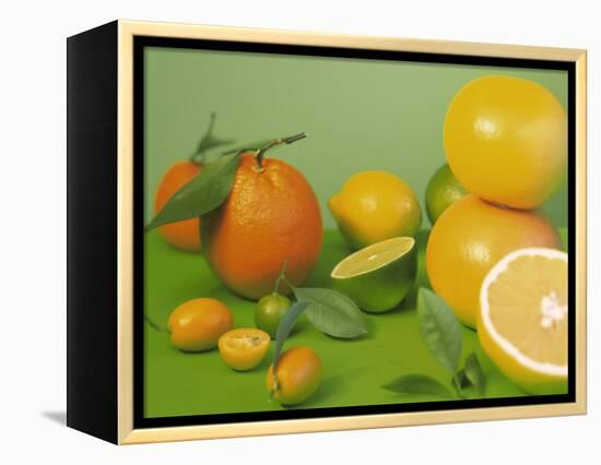 Colorful Citrus Fruit-Ulrike Koeb-Framed Premier Image Canvas