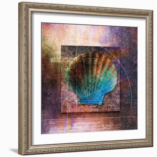 Colorful Clam Shell and Geometry-Colin Anderson-Framed Photographic Print