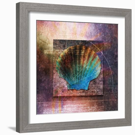 Colorful Clam Shell and Geometry-Colin Anderson-Framed Photographic Print