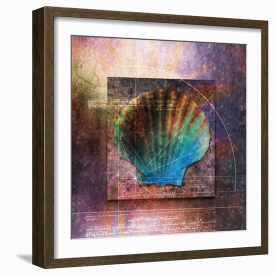 Colorful Clam Shell and Geometry-Colin Anderson-Framed Photographic Print