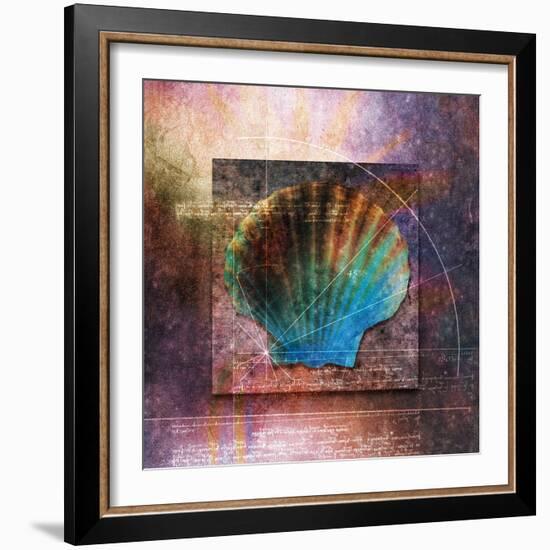 Colorful Clam Shell and Geometry-Colin Anderson-Framed Photographic Print