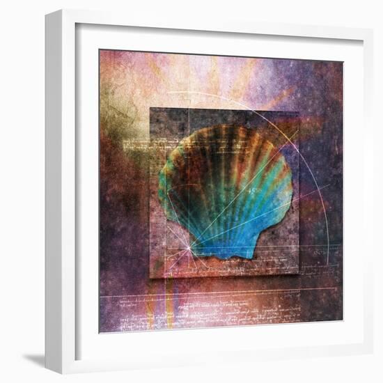 Colorful Clam Shell and Geometry-Colin Anderson-Framed Photographic Print