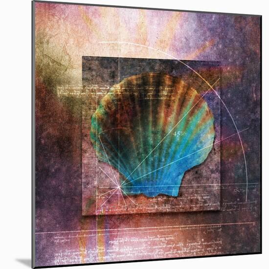 Colorful Clam Shell and Geometry-Colin Anderson-Mounted Photographic Print