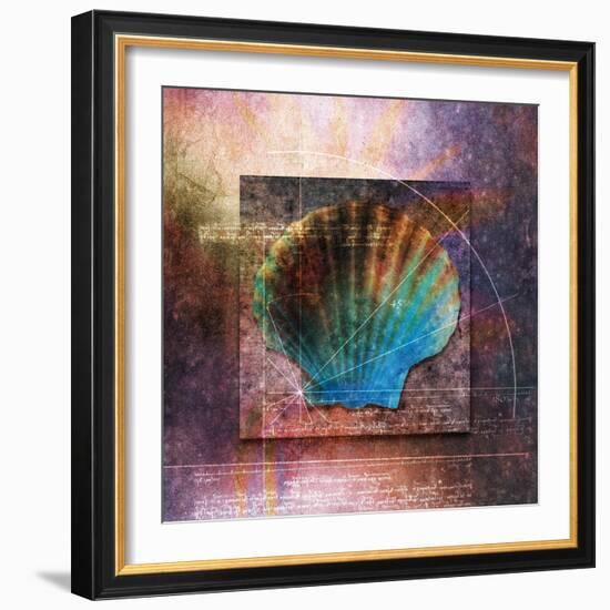 Colorful Clam Shell and Geometry-Colin Anderson-Framed Photographic Print