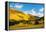 Colorful Colorado Lands-duallogic-Framed Premier Image Canvas