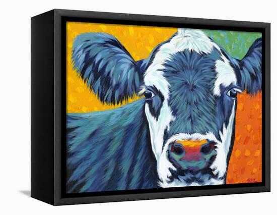 Colorful Country Cows I-Carolee Vitaletti-Framed Stretched Canvas