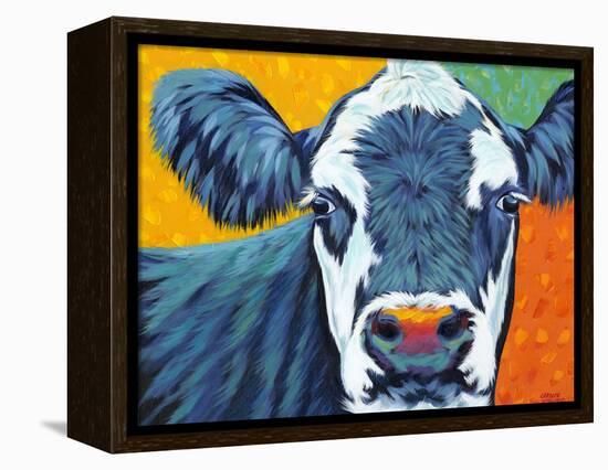 Colorful Country Cows I-Carolee Vitaletti-Framed Stretched Canvas