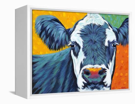 Colorful Country Cows I-Carolee Vitaletti-Framed Stretched Canvas