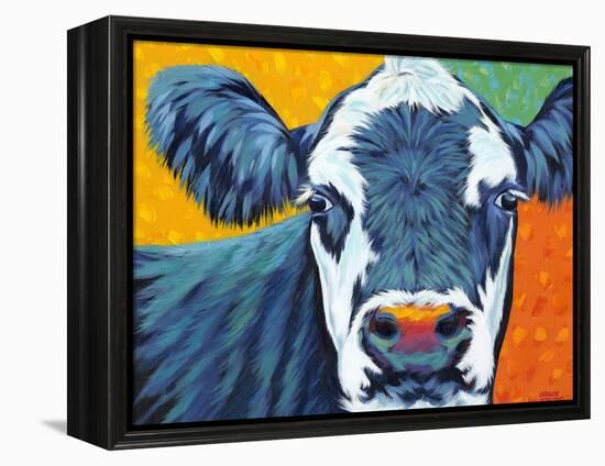 Colorful Country Cows I-Carolee Vitaletti-Framed Stretched Canvas