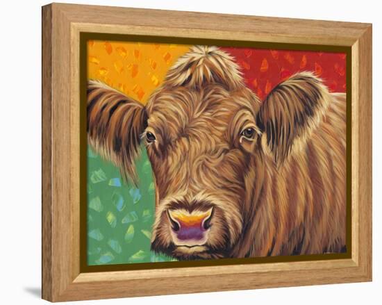 Colorful Country Cows II-Carolee Vitaletti-Framed Stretched Canvas