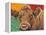 Colorful Country Cows II-Carolee Vitaletti-Framed Stretched Canvas