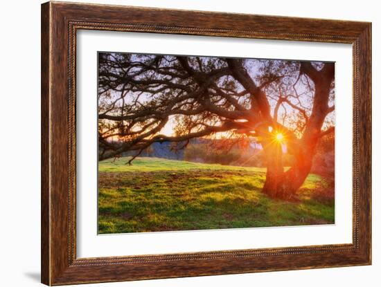 Colorful Diablo Sunscape-Vincent James-Framed Photographic Print