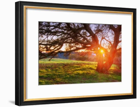 Colorful Diablo Sunscape-Vincent James-Framed Photographic Print